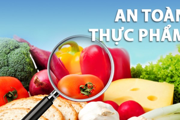 Tư vấn giấy phép vệ sinh an toàn thực phẩm