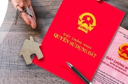 Chuyển nhượng quyền sử dụng đất không có sổ đỏ