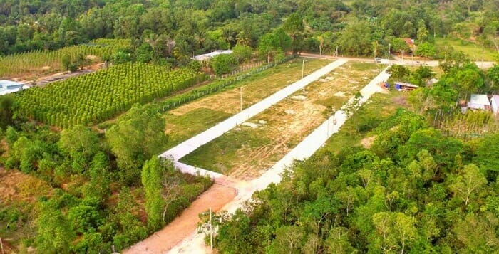 Đất trồng cây lâu năm lên thổ cư cần điều kiện, thủ tục ra sao?