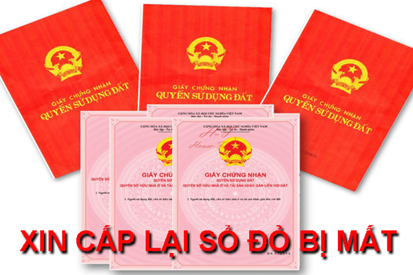 Hồ sơ cấp lại sổ đỏ bị mất